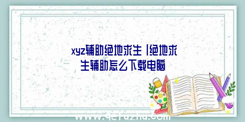 「xyz辅助绝地求生」|绝地求生辅助怎么下载电脑